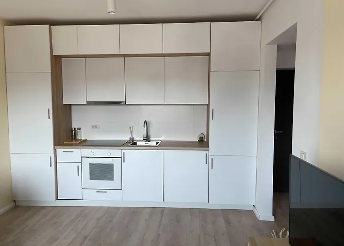 Platinum Luxury Apartment Near Presidential Palace Bucureşti